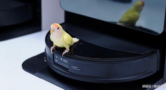 ：石头科技、科沃斯等五强重塑全球格局EVO视讯平台中国扫地机器人品牌崛起(图1)